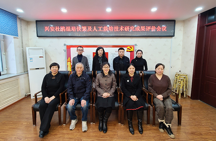 兴安杜鹃组培快繁及人工栽培技术研究 anli.jpg